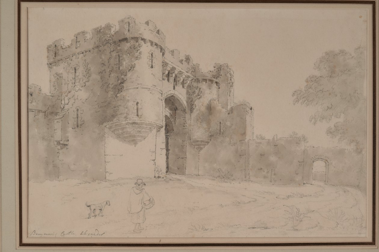 Zámek Beaumaris, Anglesey od William Alexander