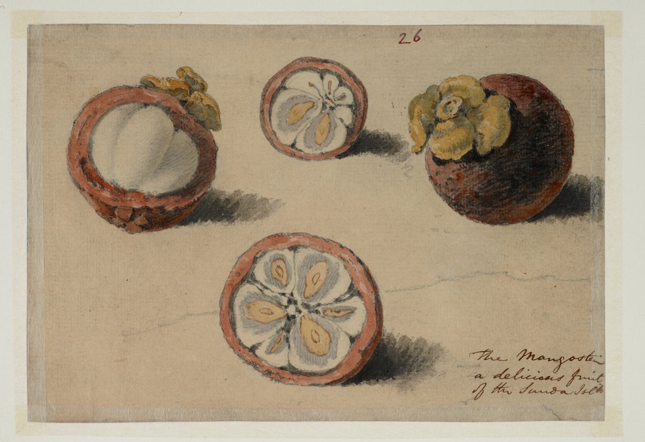 WD 961 f.26 od William Alexander