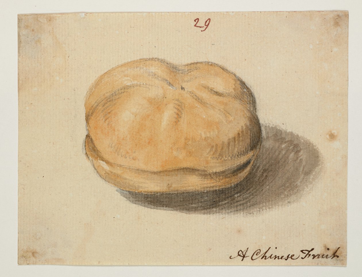 WD 961 f.29 od William Alexander