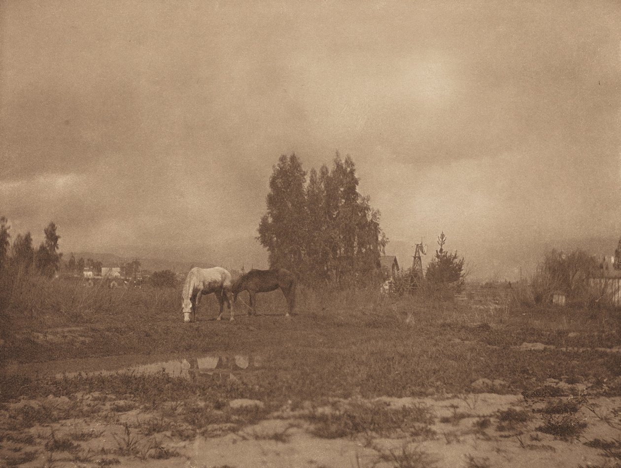 Krajina Pasadena, 1899. od William B Post
