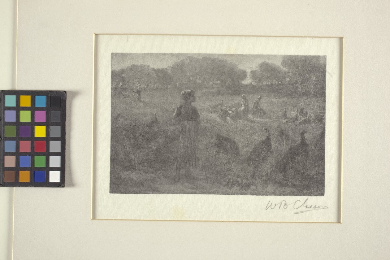 The Turkey Pasture (dřevorytina) od William Baxter Palmer Closson