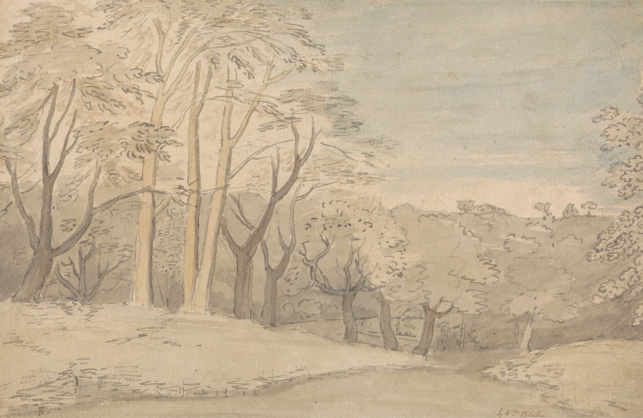 Dřevěná krajina od William Blake