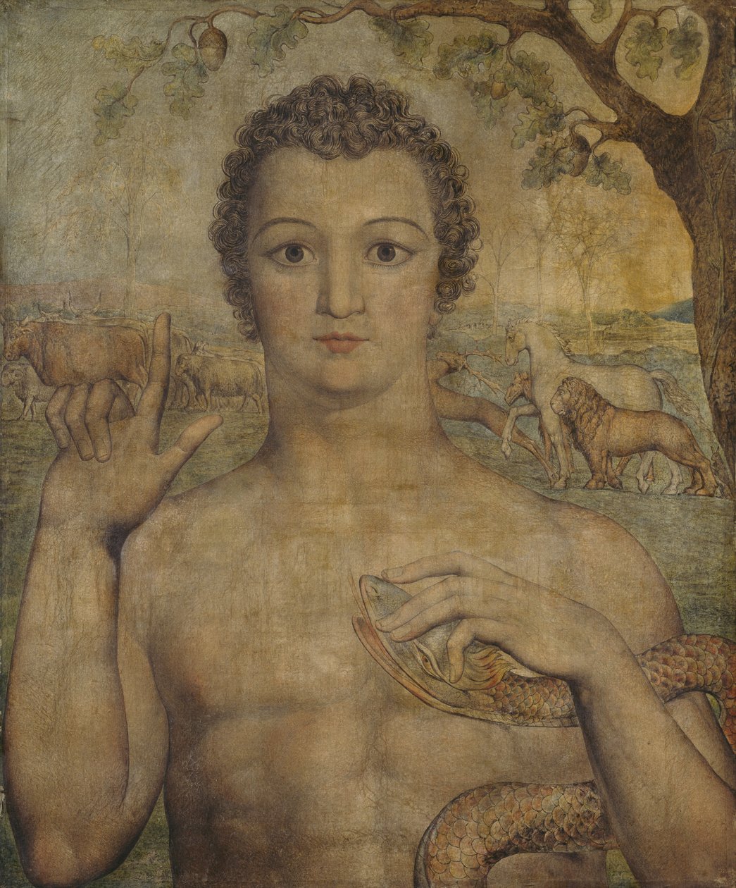 Adam pojmenovává zvířata od William Blake