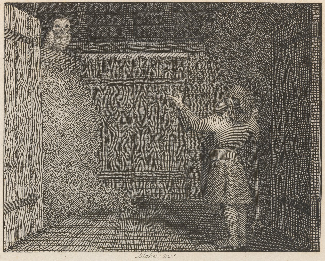 Sova a farmář od William Blake