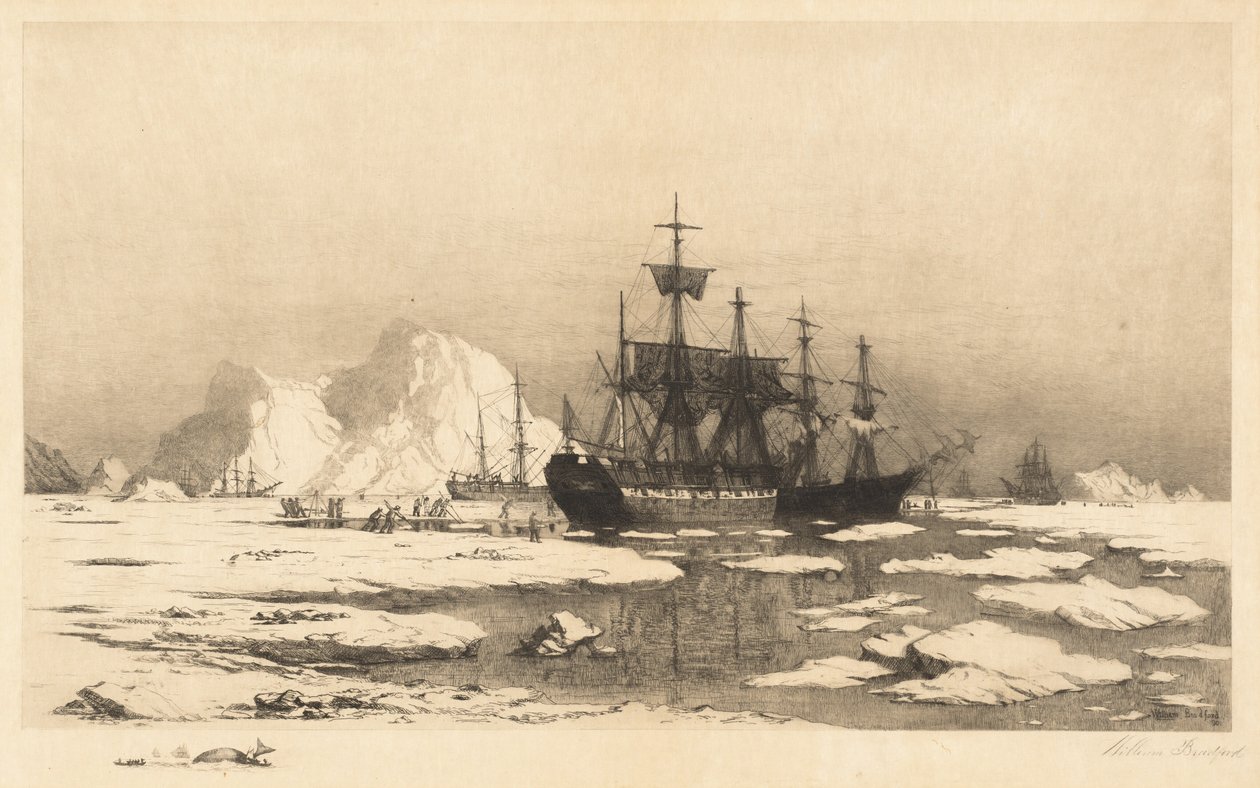 Mezi ledovými krami od William Bradford