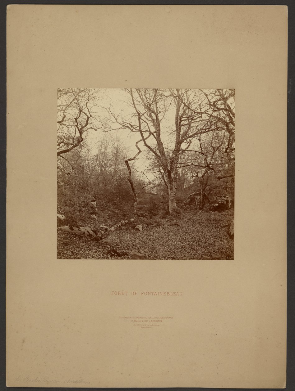 Les Fontainebleau od William Drooke Harrison