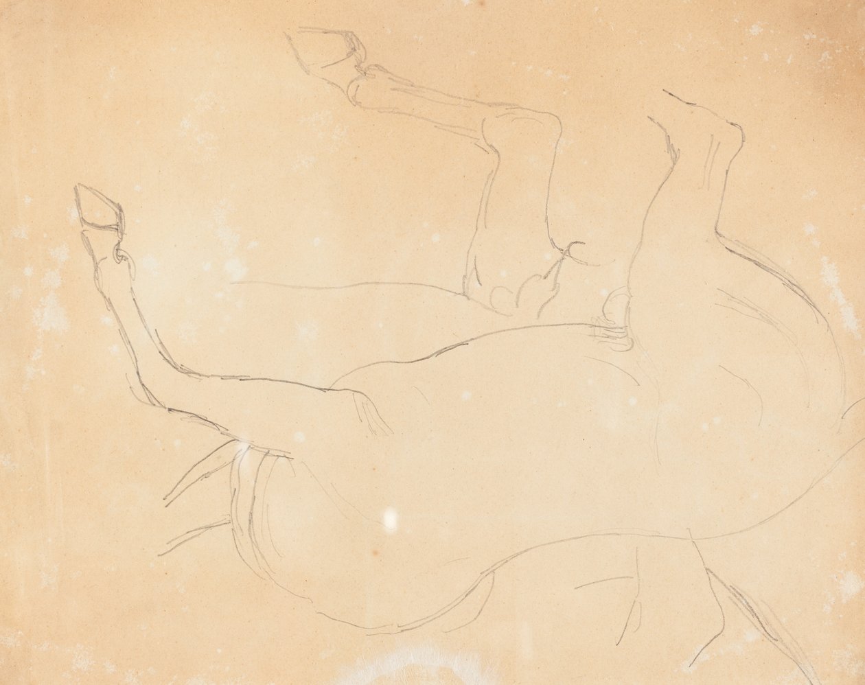 Studie koně [verso] od William Etty
