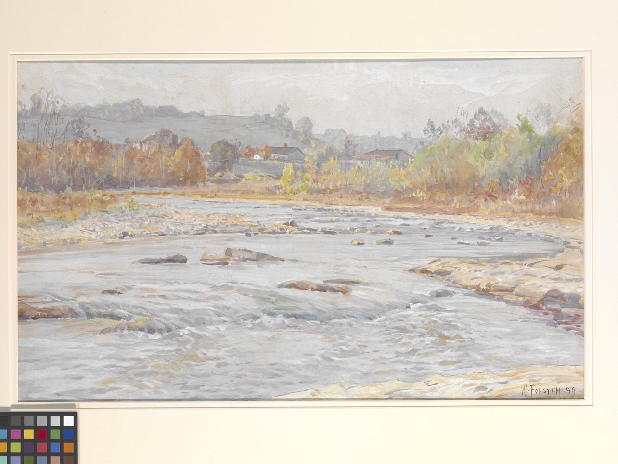 Whitewater Rapids (akvarel na špinavě bílém papíře) od William Forsyth
