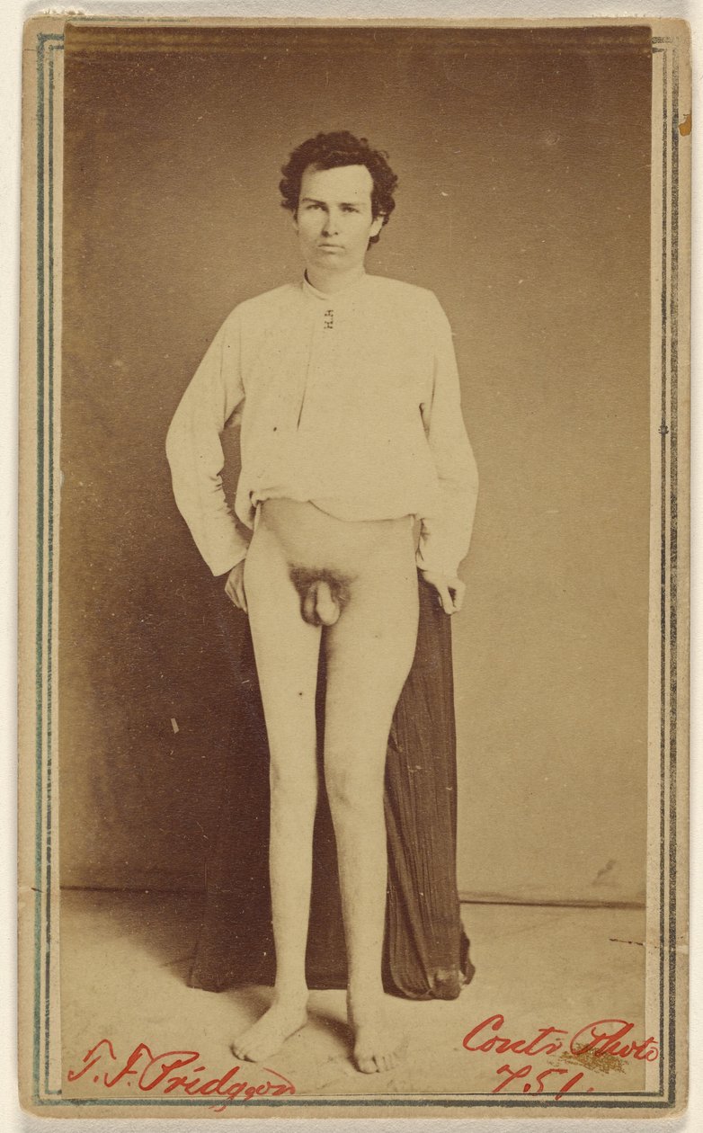 T.F. Pridgeon [oběť občanské války] od William H. Bell