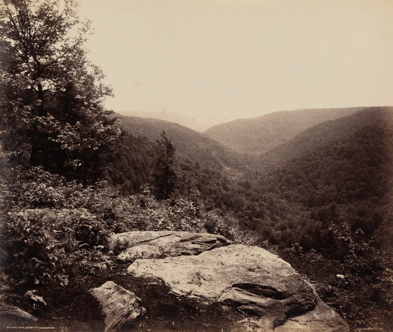 Cliff View, Summit of Alleghenies od William H. Rau