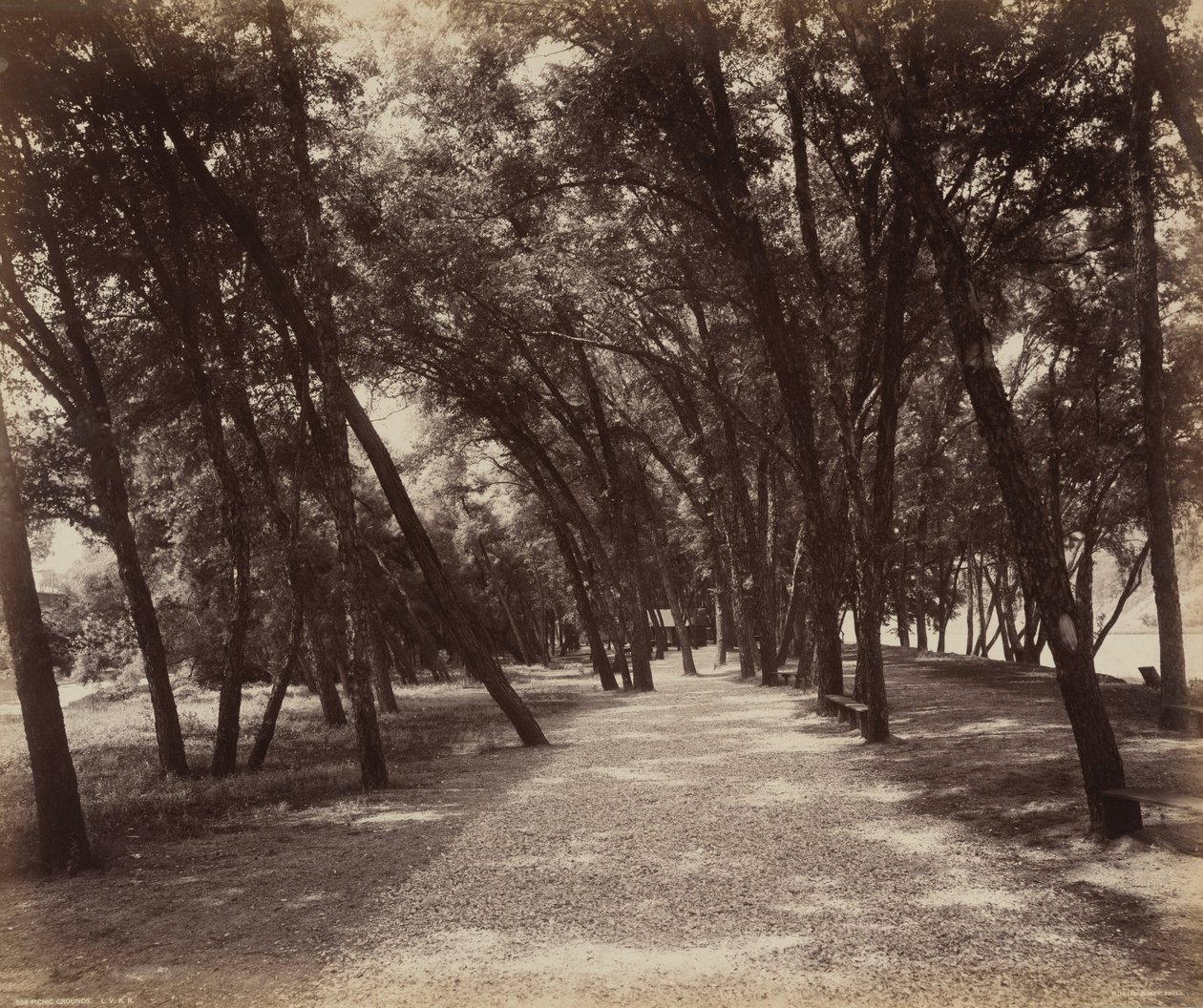 Piknikové hřiště od William H. Rau