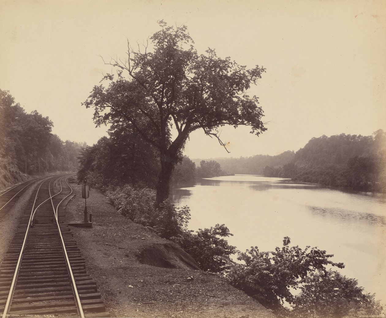 Lehigh, At Turkey Run od William H. Rau