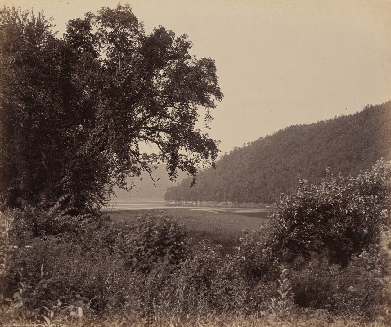 Susquehanna poblíž Wyalusingu od William H. Rau