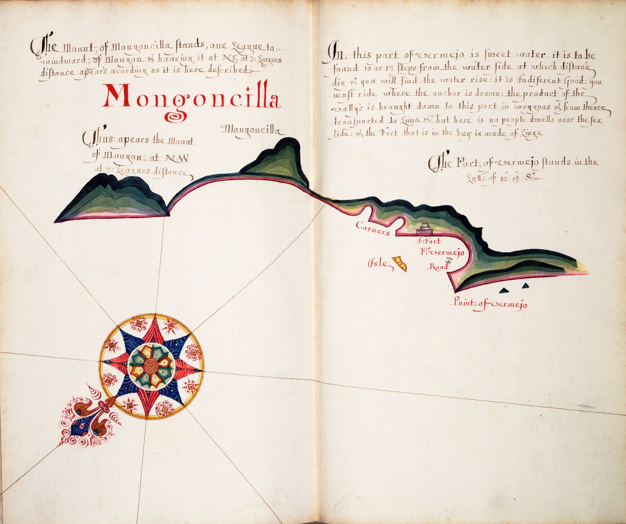 Mongoncilla od William Hack