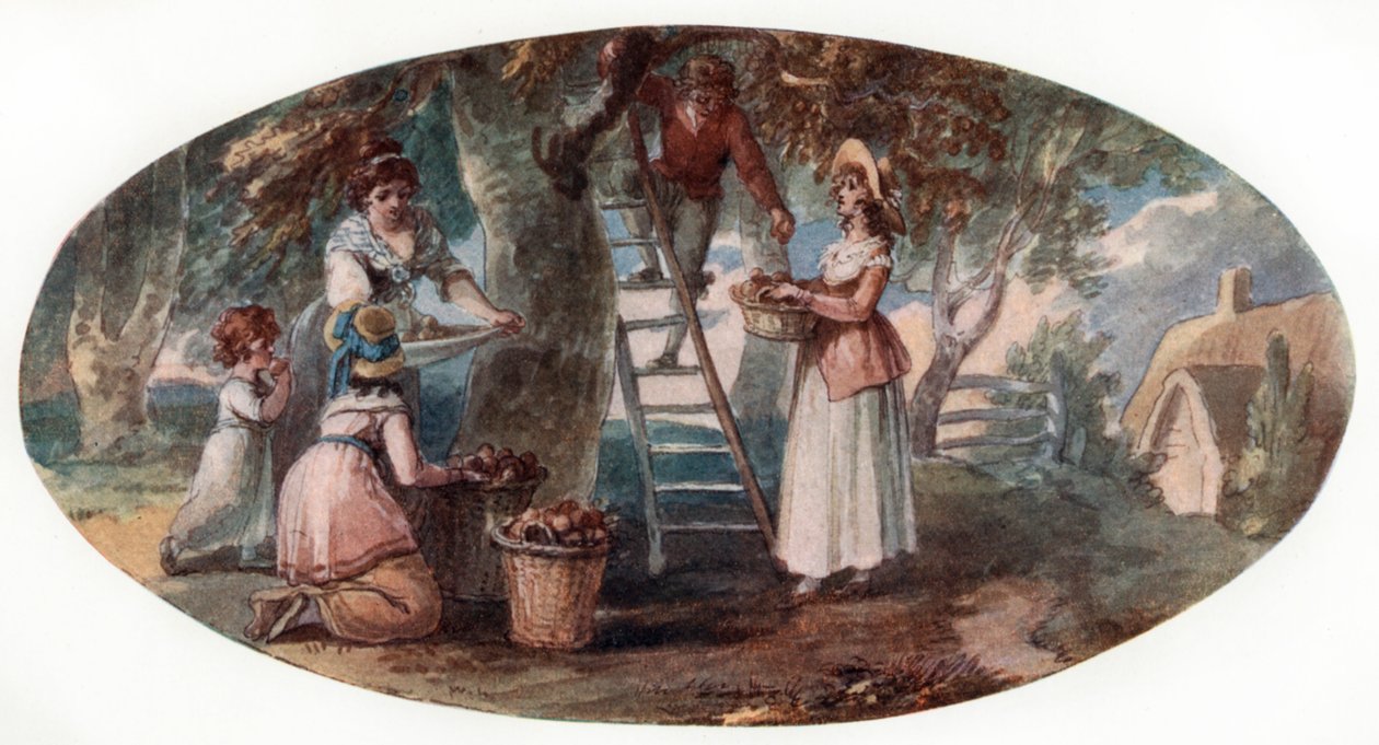 Sběr ovoce, konec 18. století. od William Hamilton