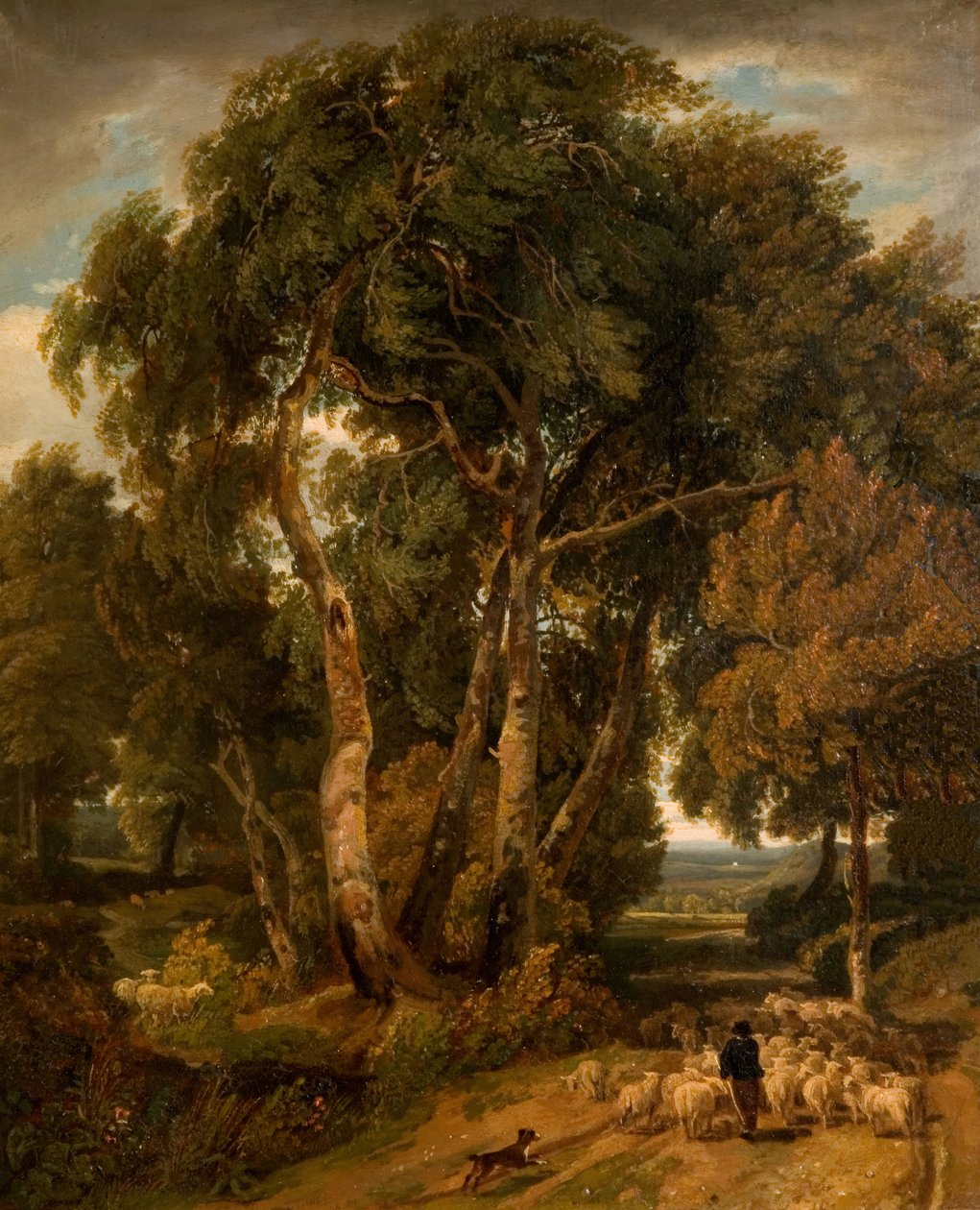 Driving Home The Flock, 1806. od William Havell