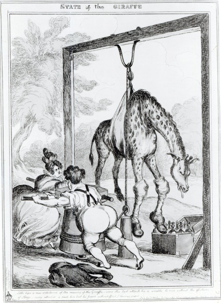 Stav žirafy, 1829 od William Heath