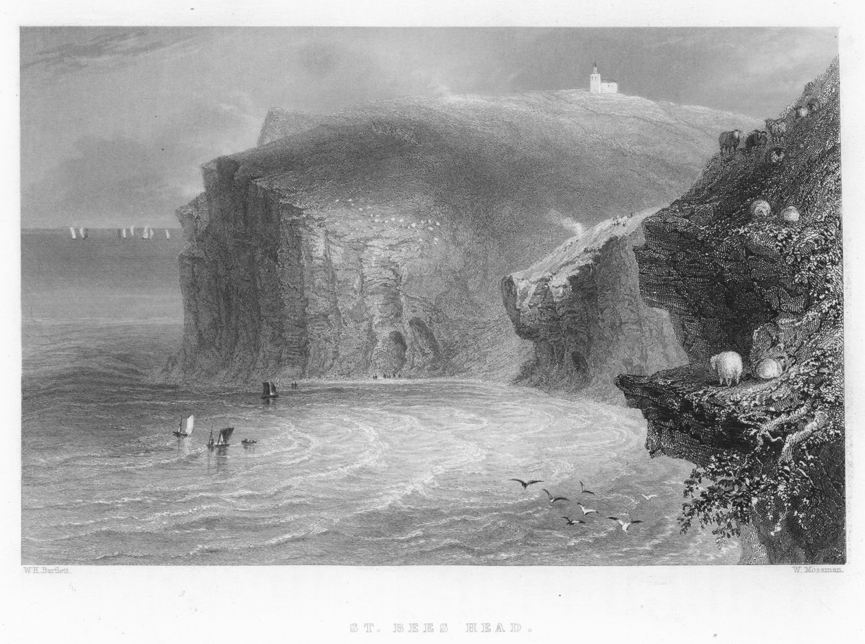 St Bees Head od William Henry Bartlett