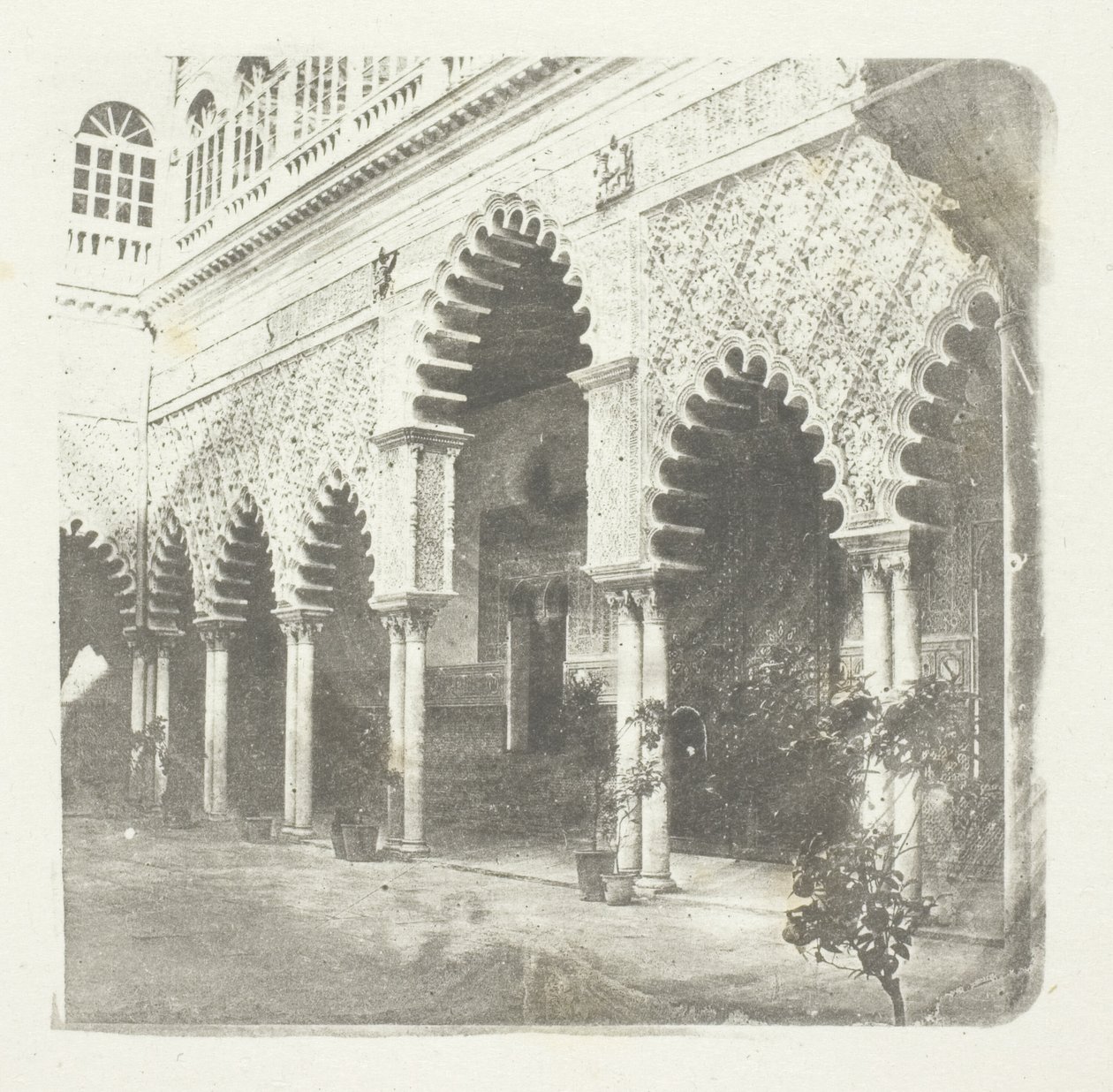 Alcazar de Sevilla od William Henry Fox Talbot