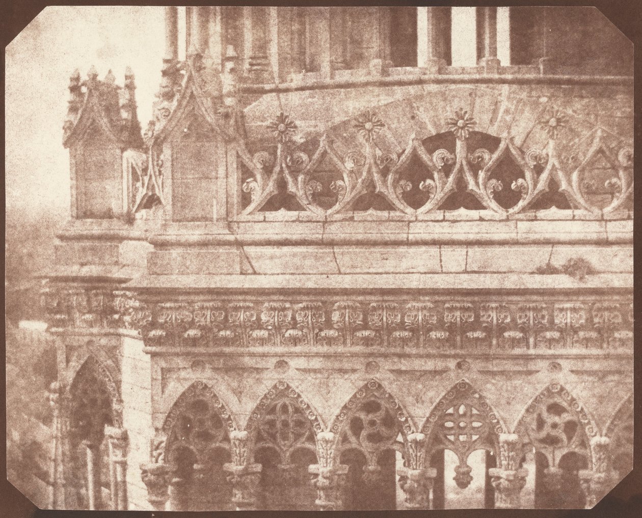 Orléanská katedrála, červen 1843 (foto) od William Henry Fox Talbot