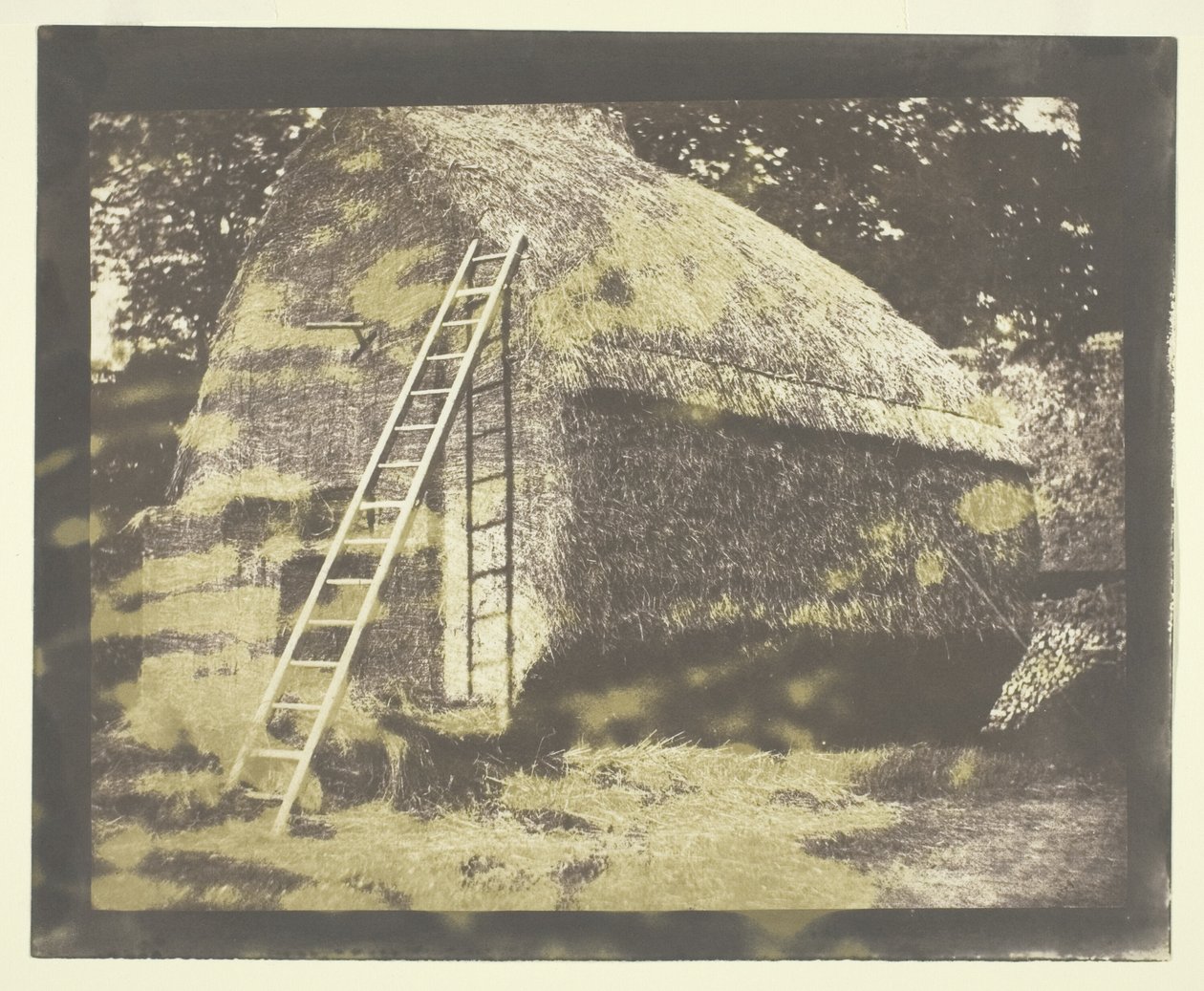 Kupka sena od William Henry Fox Talbot