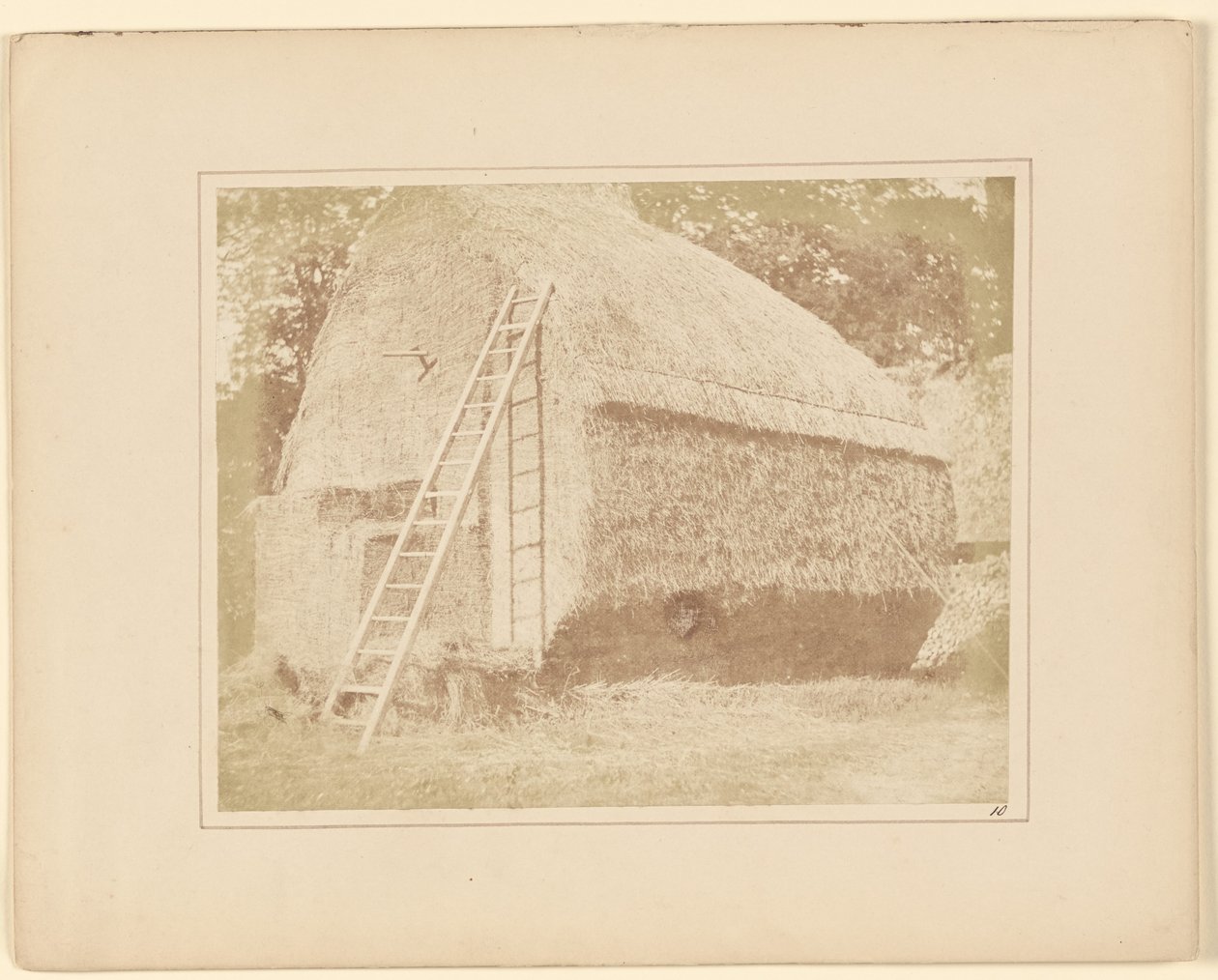 Kupka sena od William Henry Fox Talbot