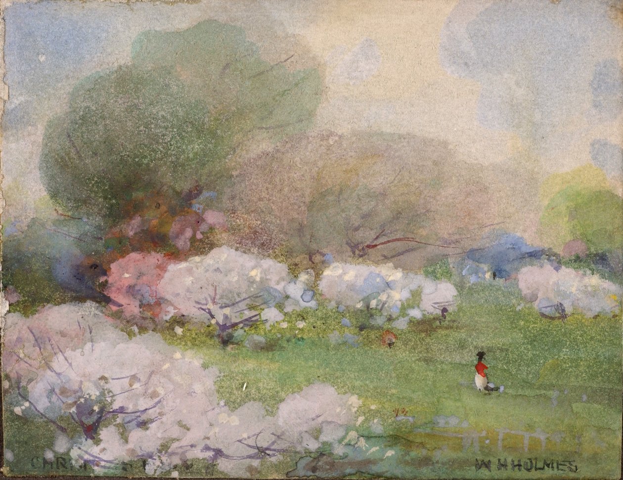 Třešňové květy od William Henry Holmes