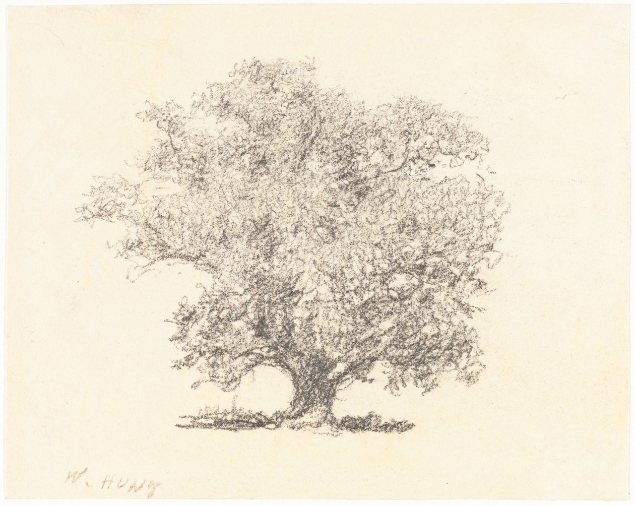 Strom v plném listí od William Henry Hunt