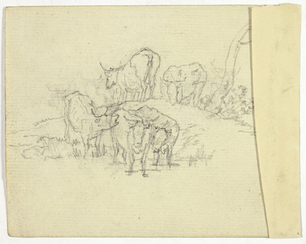 Skot (recto); šarlatán (verze) od William Henry Pyne