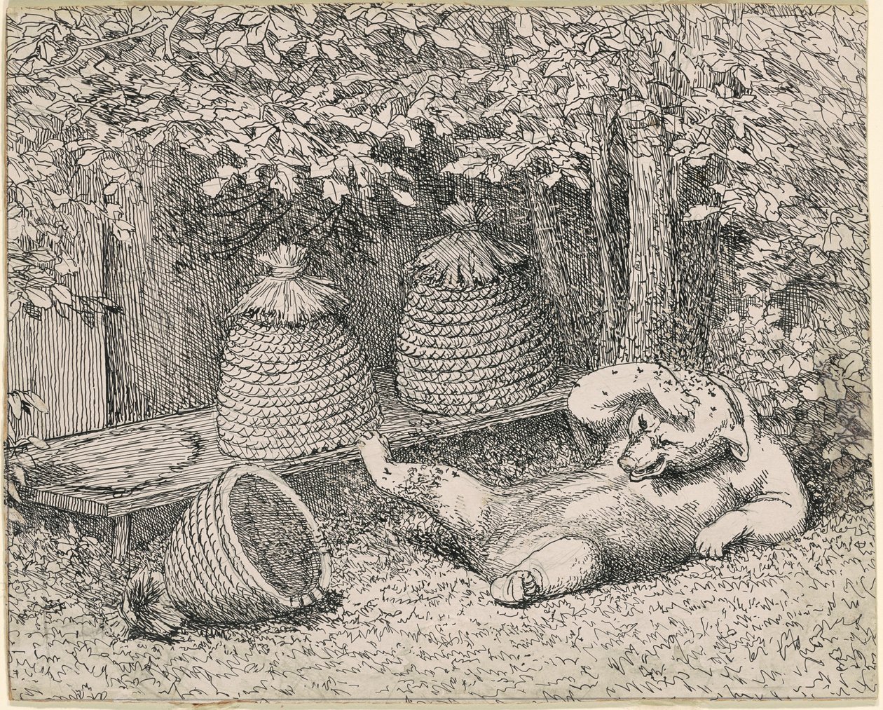 Medvěd bodnutý včelami od William Holbrook Beard