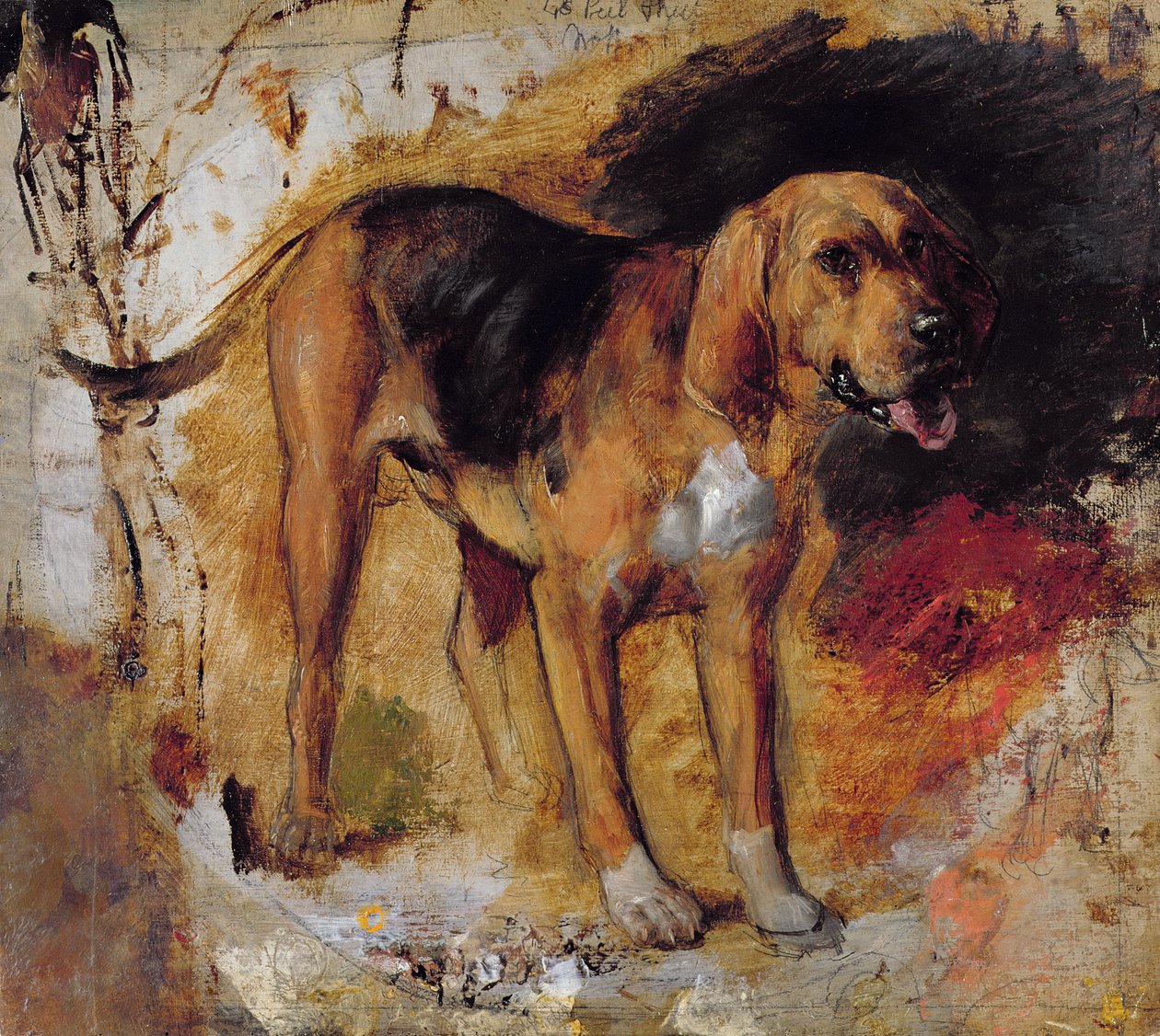 Studie Bloodhounda od William Holman Hunt