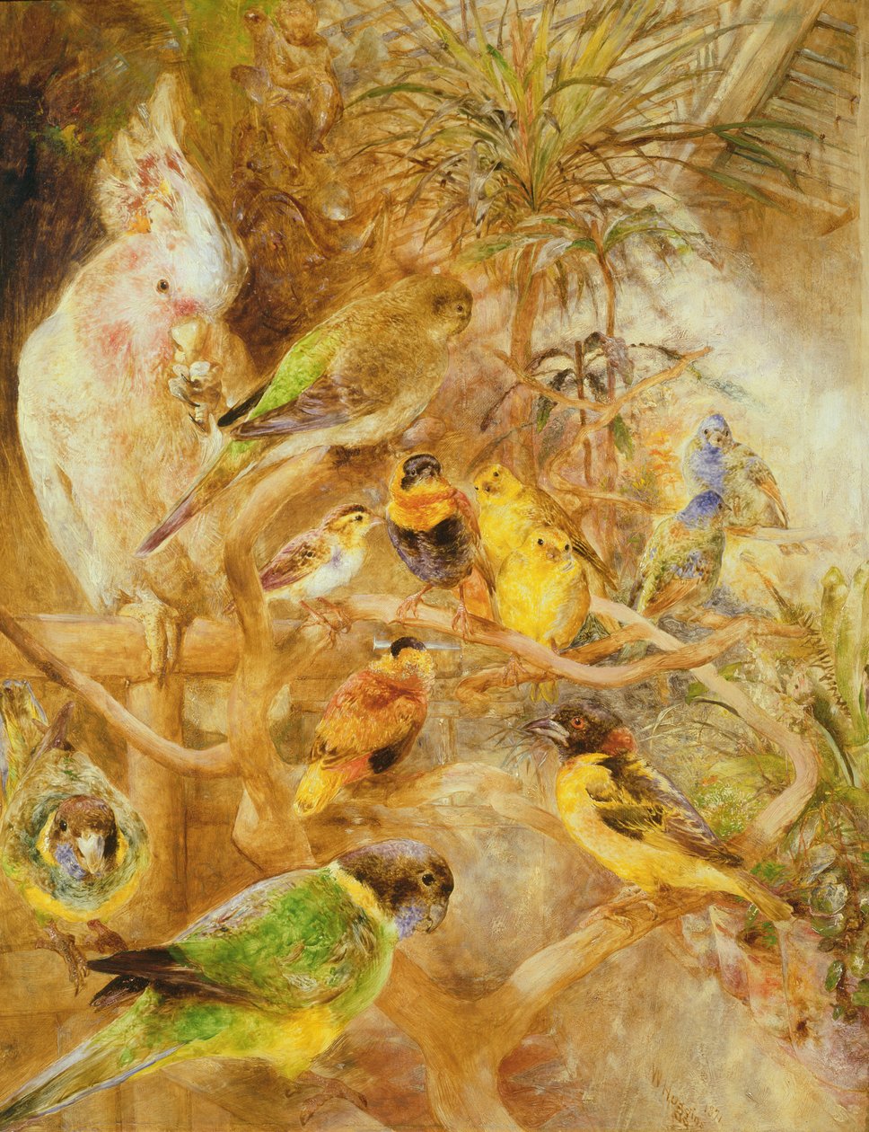Ptačí voliéra, 1871 od William Huggins