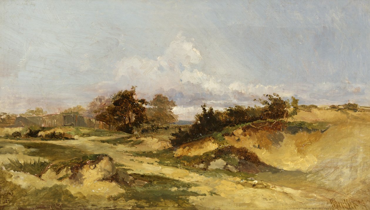 Pískovny, Hampstead Heath od William James Muller