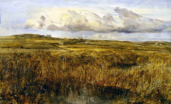 Rhoscolyn, Anglesey (olej na desce) od William Joseph J.C. Bond