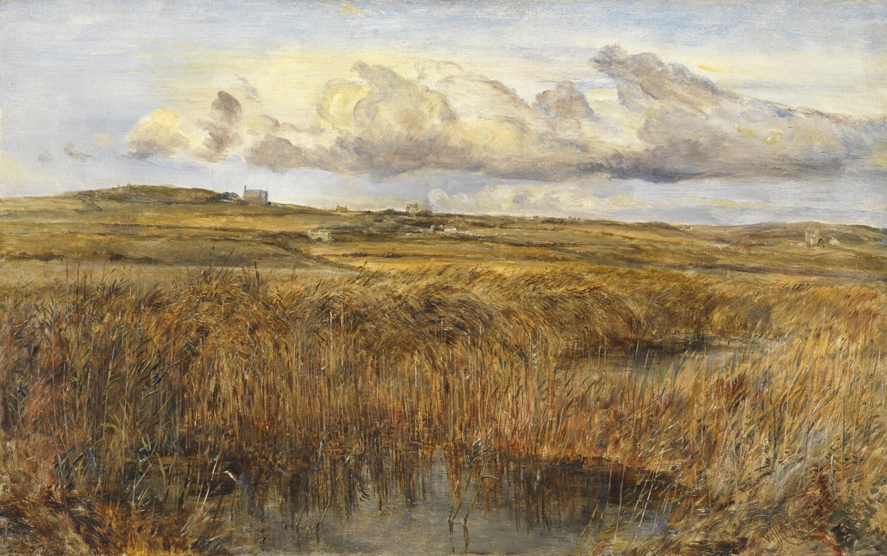 Rhoscolyn, Anglesey od William Joseph J.C. Bond