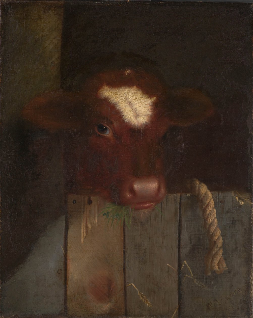 Rodinná kráva od William Merritt (after) Chase