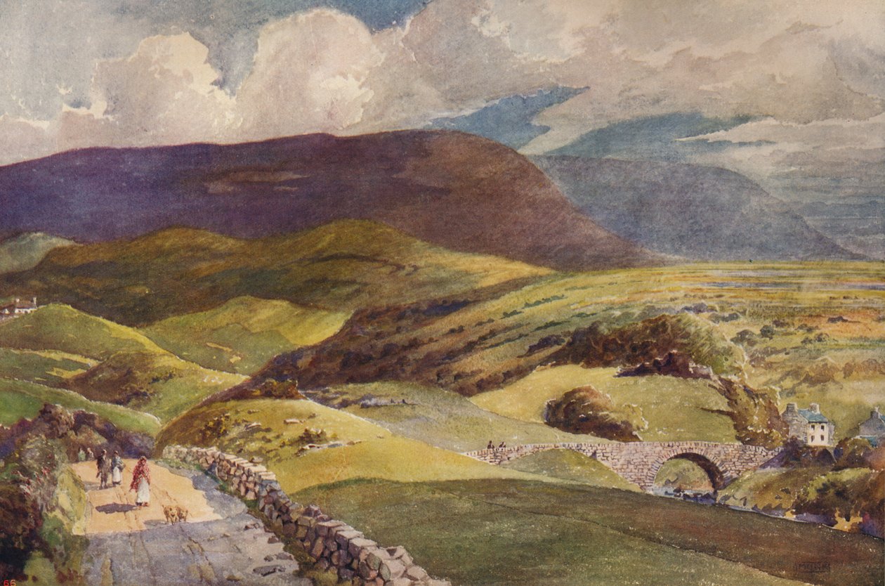 Krajina v Donegalu, c1915 od William Monk