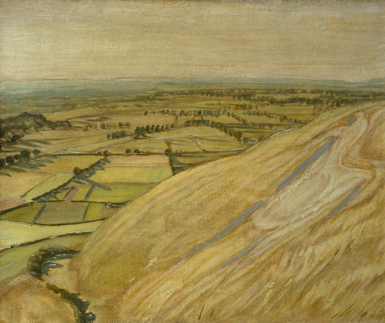 Bílý kůň (olej na desce) od William Nicholson