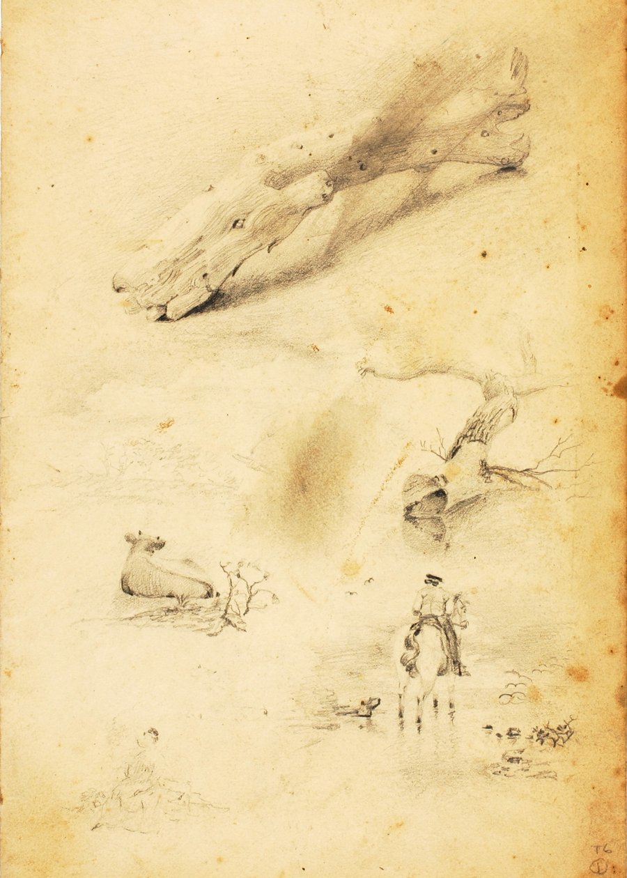 (Studie - postavy, kláda, kůň a jezdec atd.) od William Page