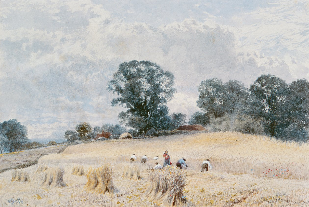 Sklizeň od William Paton Burton