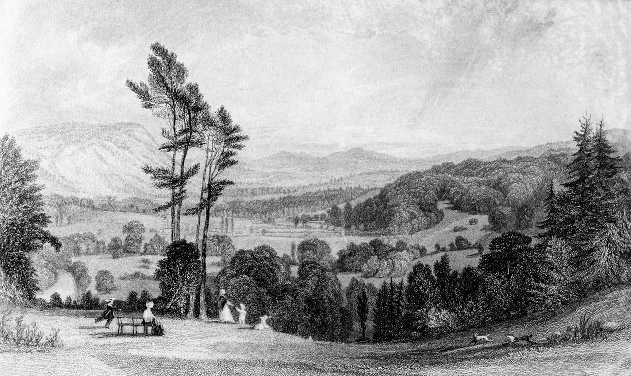 Pohled z Norbury, Surrey, 19. století. od William Radclyffe
