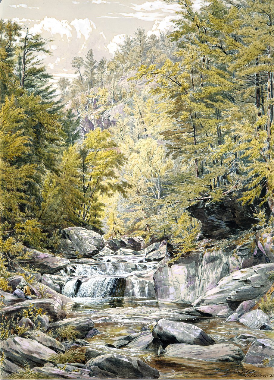 Catskill Clove, 1856. od William Rickarby Miller