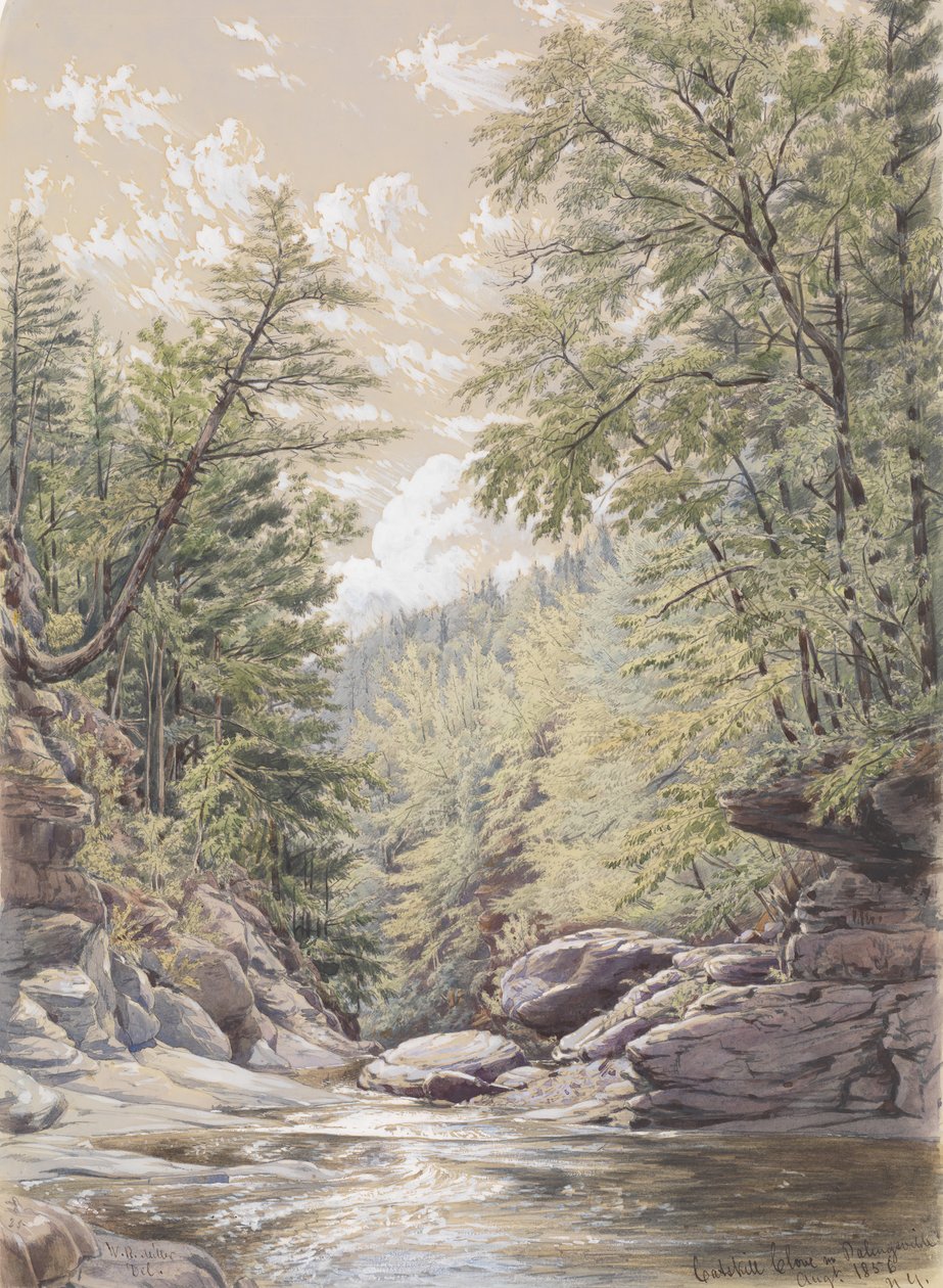 Catskill Clove v Palingsville, 1856. od William Rickarby Miller