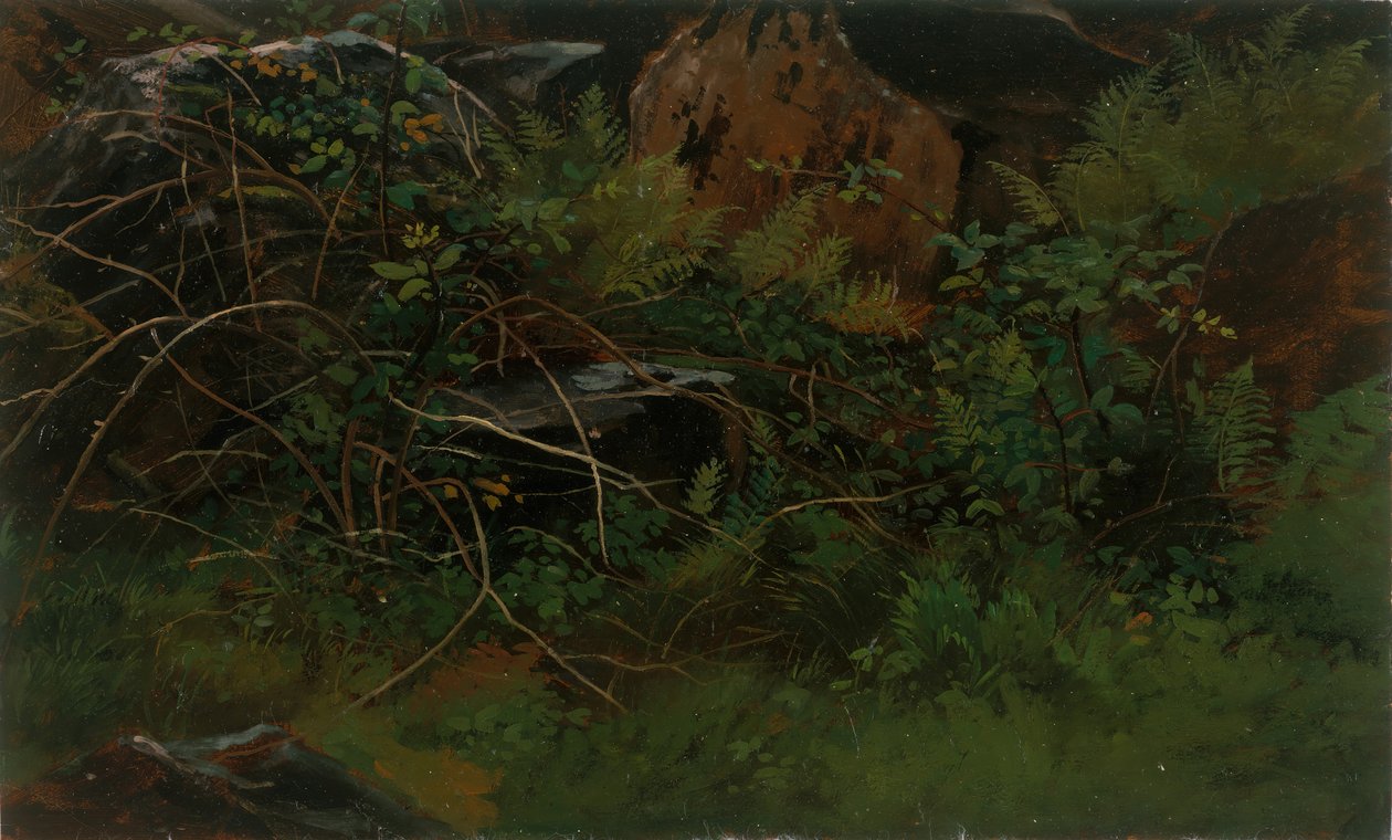 Studie z přírody. od William Stanley Haseltine