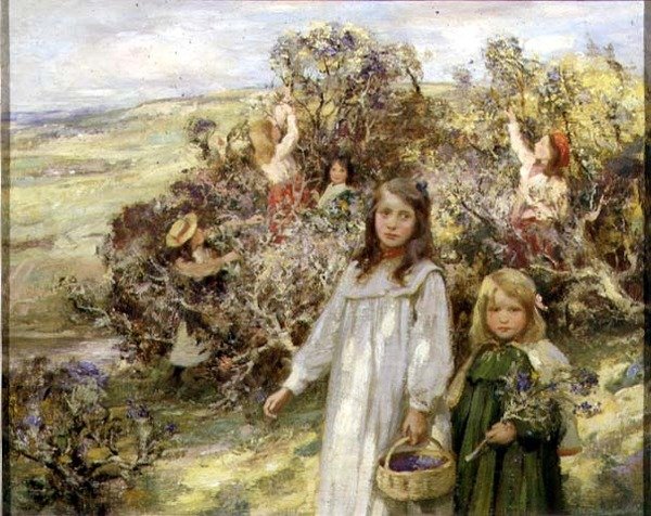 Sběr ostružin (olej na plátně) od William Stewart MacGeorge
