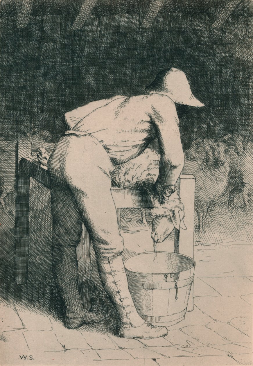 Řezník a ovce, c1916 od William Strang