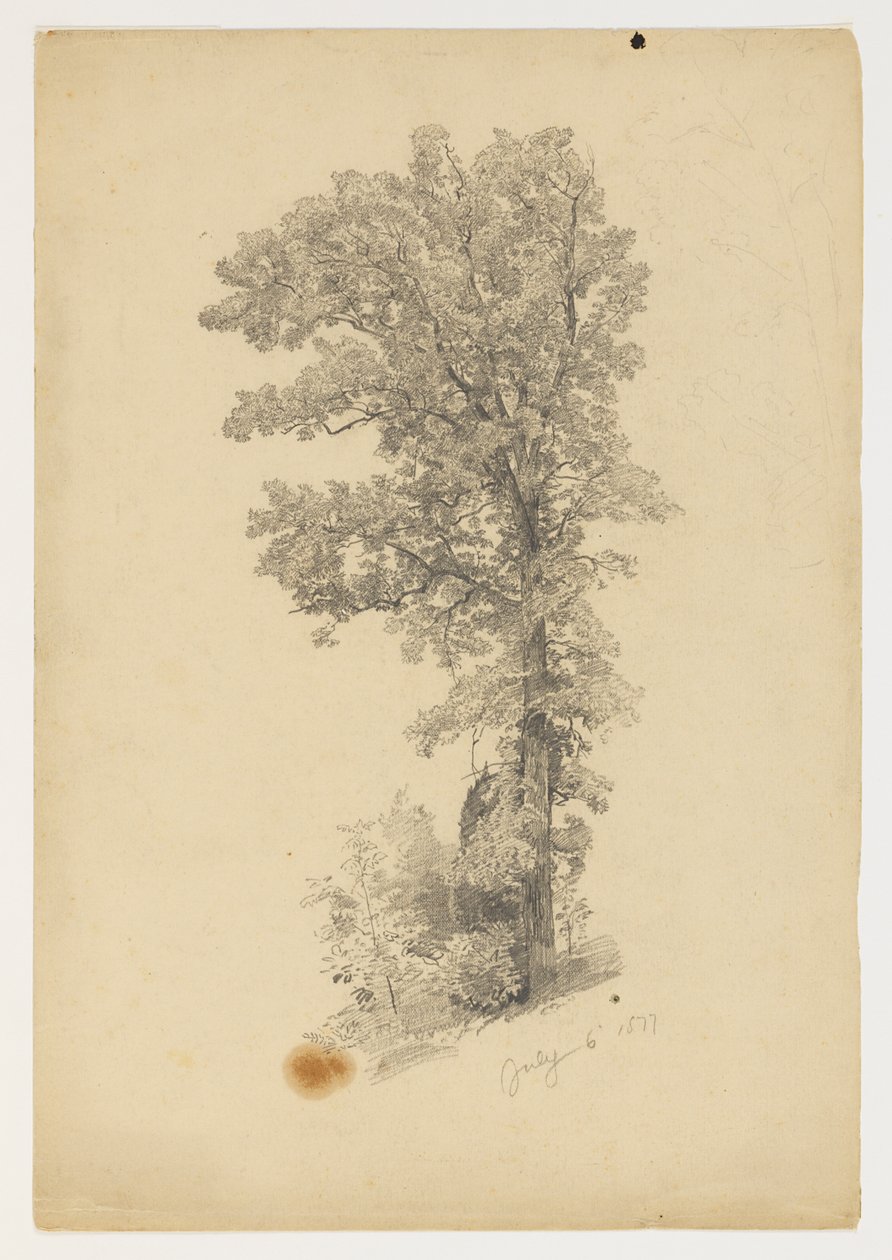 Studium listí od William Trost Richards