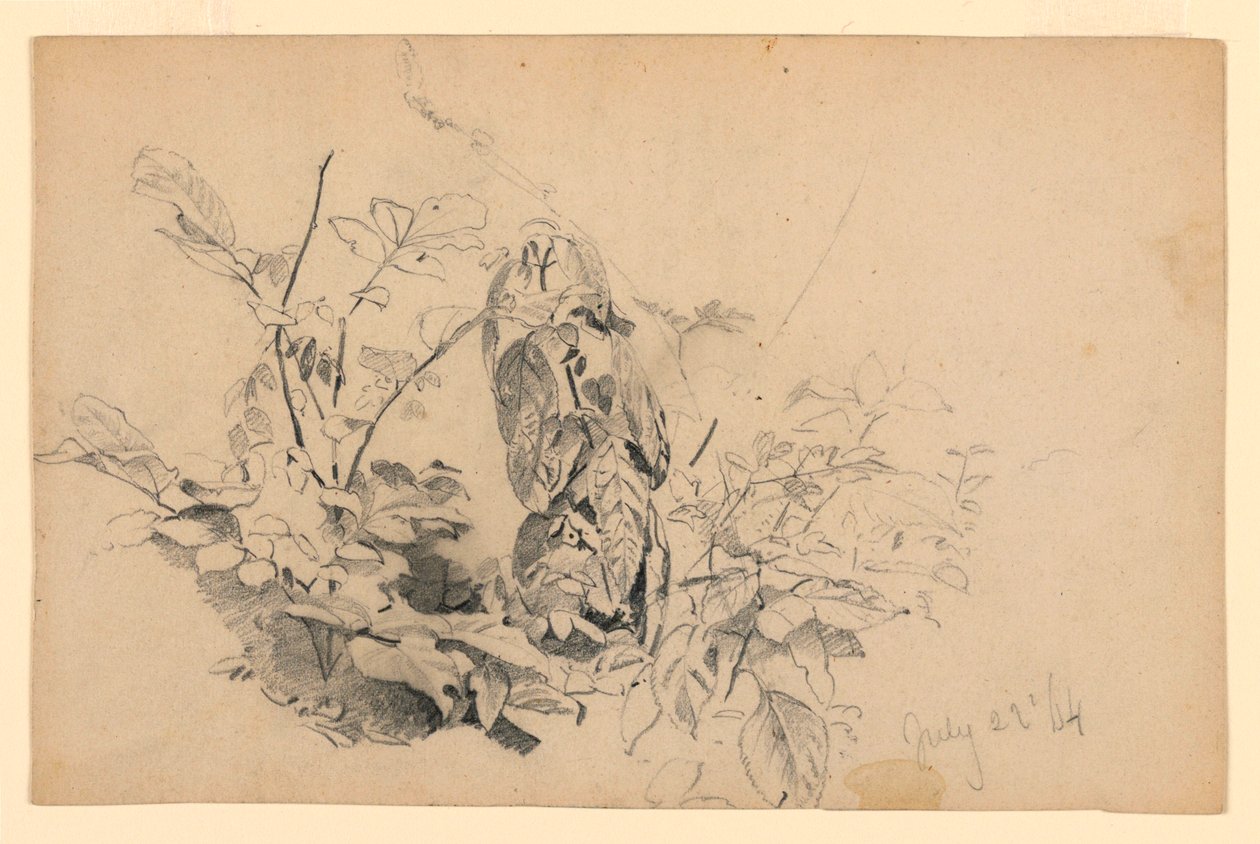 Studium listí od William Trost Richards