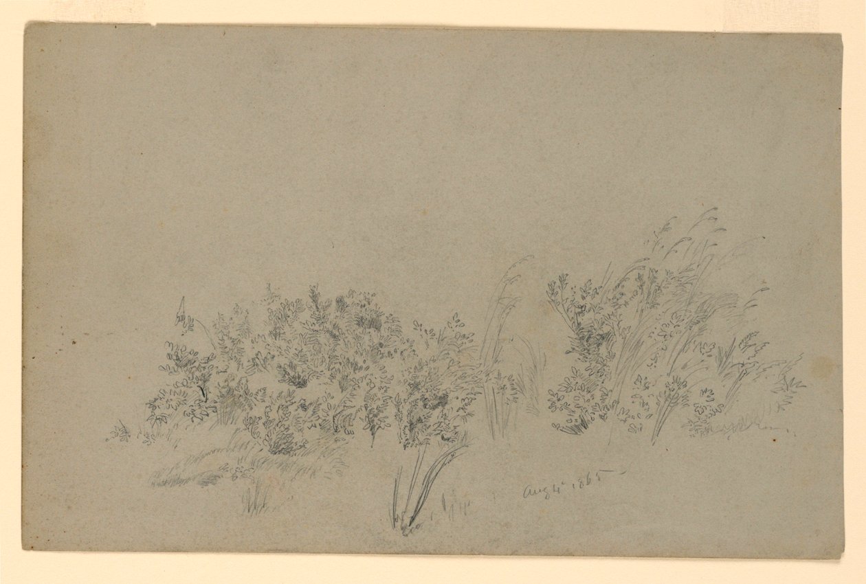 Studium listí od William Trost Richards