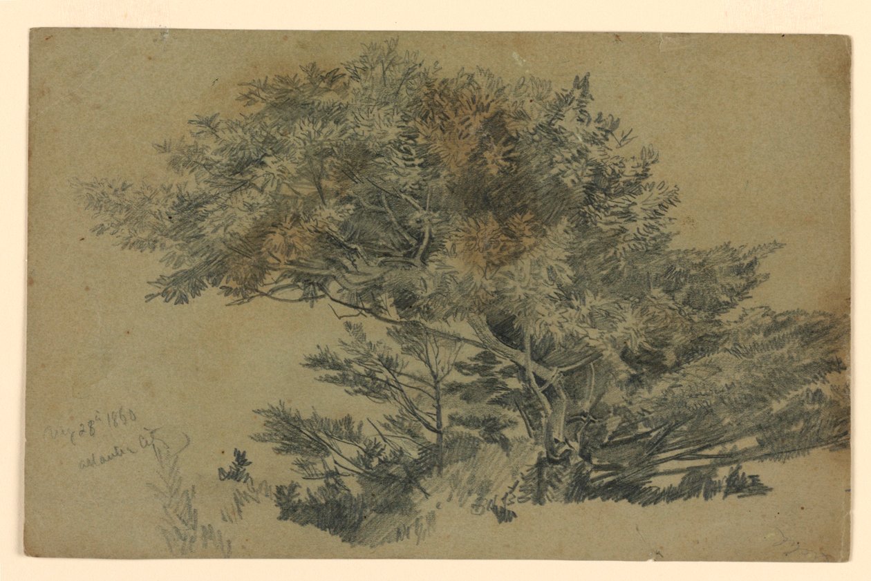 Studium listí od William Trost Richards